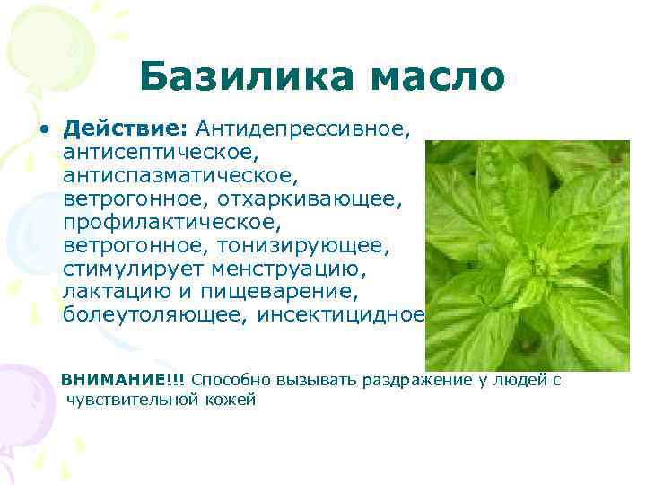 Базилика масло • Действие: Антидепрессивное, антисептическое, антиспазматическое, ветрогонное, отхаркивающее, профилактическое, ветрогонное, тонизирующее, стимулирует менструацию,