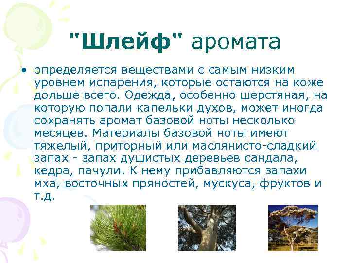 "Шлейф" аромата • определяется веществами с самым низким уровнем испарения, которые остаются на коже