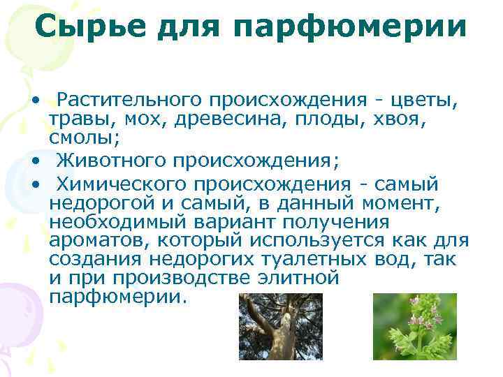 Сырье для парфюмерии • Растительного происхождения - цветы, травы, мох, древесина, плоды, хвоя, смолы;