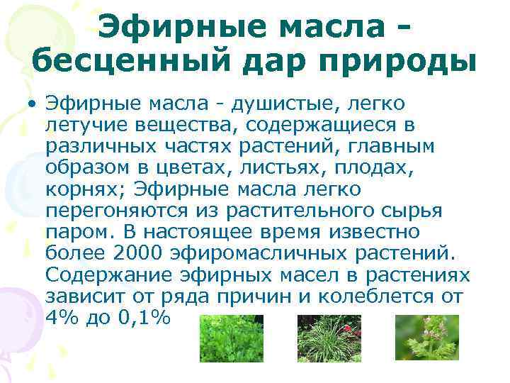 Эфирные масла бесценный дар природы • Эфирные масла - душистые, легко летучие вещества, содержащиеся