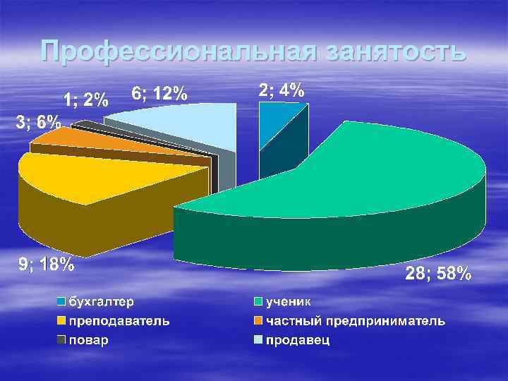 Профессиональная занятость 