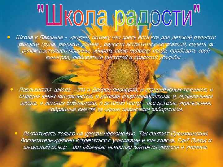  • Школа в Павлыше - дворец, потому что здесь есть все для детской