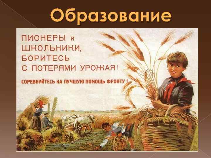 Образование 