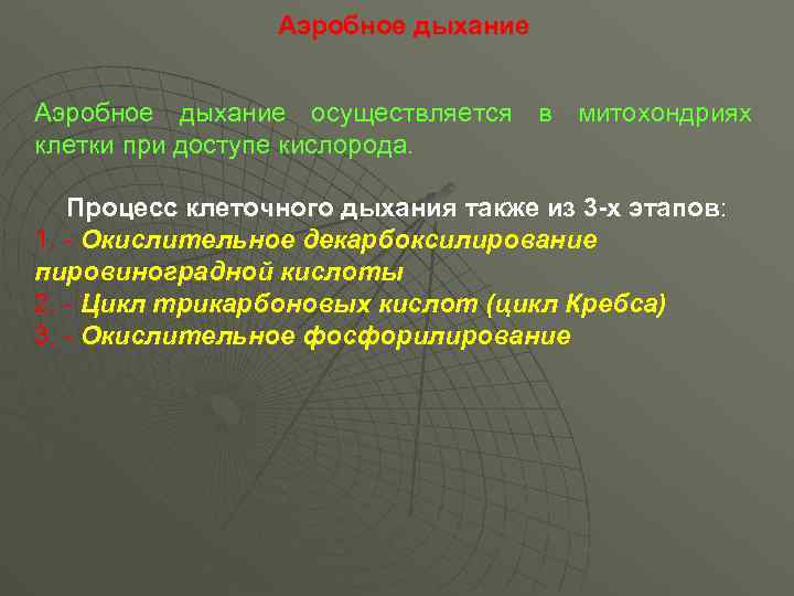 Аэробное дыхание осуществляется в митохондриях клетки при доступе кислорода. Процесс клеточного дыхания также из