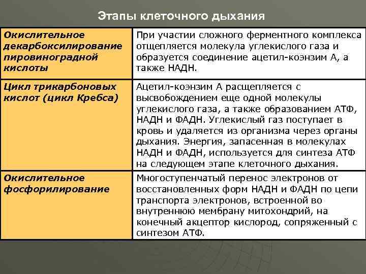 Этапы клеточного дыхания. Стадии клеточного дыхания. Стадии клеточного дыхания ЕГЭ. Подготовительный этап клеточного дыхания. Процессы и этапы клеточного дыхания.