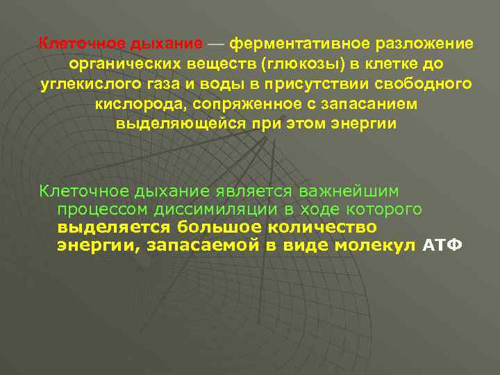Клеточное дыхание — ферментативное разложение органических веществ (глюкозы) в клетке до углекислого газа и