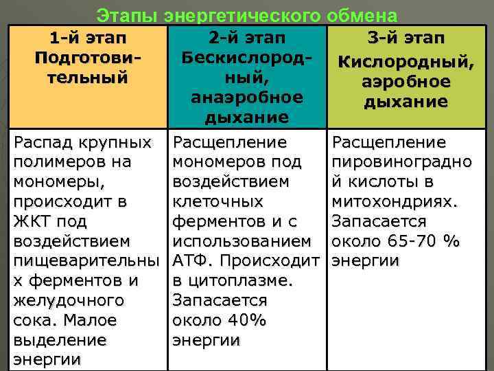 Этапы энергетического обмена 1 -й этап Подготовительный 2 -й этап Бескислородный, анаэробное дыхание Распад