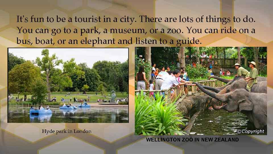 It's fun to be a tourist in a city. There are lots of things