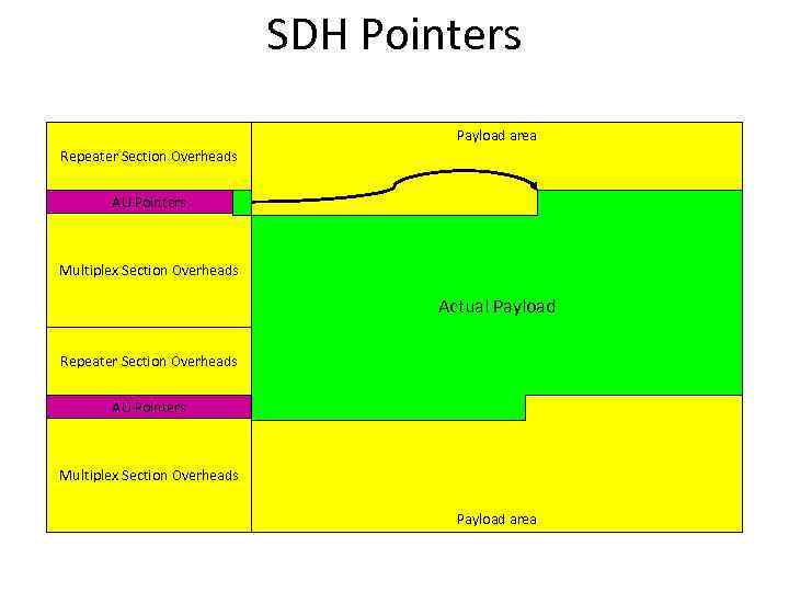 SDH Pointers Payload area Repeater Section Overheads AU Pointers Multiplex Section Overheads Actual Payload