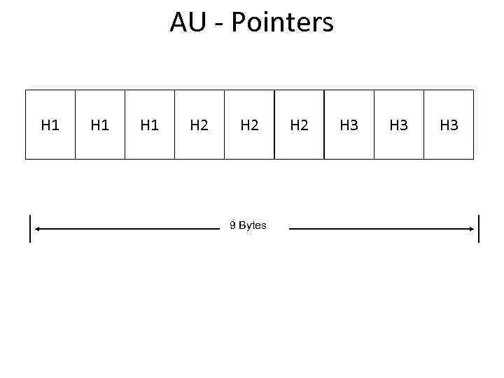 AU - Pointers H 1 H 1 H 2 9 Bytes H 2 H
