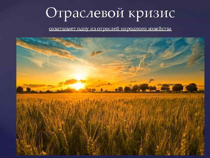 Отраслевой кризис охватывает одну из отраслей народного хозяйства 