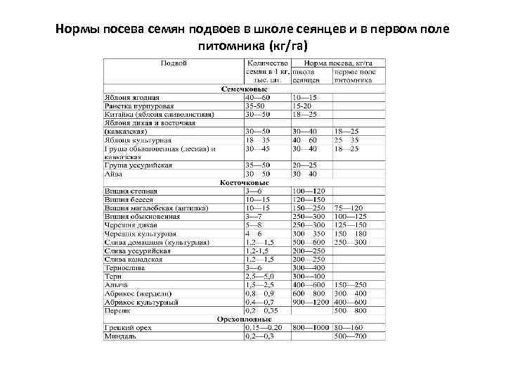 Нормы посева семян подвоев в школе сеянцев и в первом поле питомника (кг/га) 