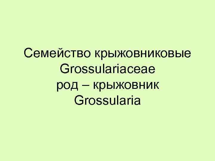 Семейство крыжовниковые Grossulariaceae род – крыжовник Grossularia 