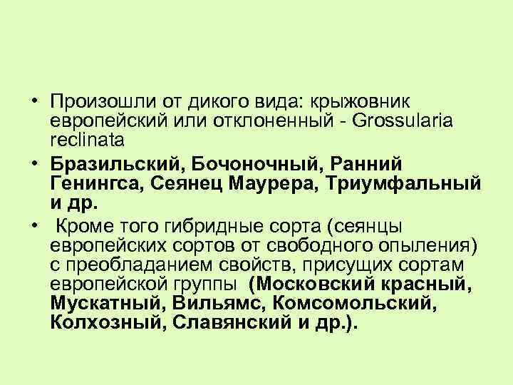  • Произошли от дикого вида: крыжовник европейский или отклоненный - Grossularia reclinata •