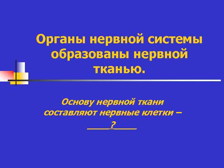 Органы нервной системы образованы нервной тканью. Основу нервной ткани составляют нервные клетки – ____?