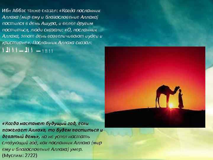 Ибн Аббас также сказал: «Когда посланник Аллаха (мир ему и благословение Аллаха) постился в