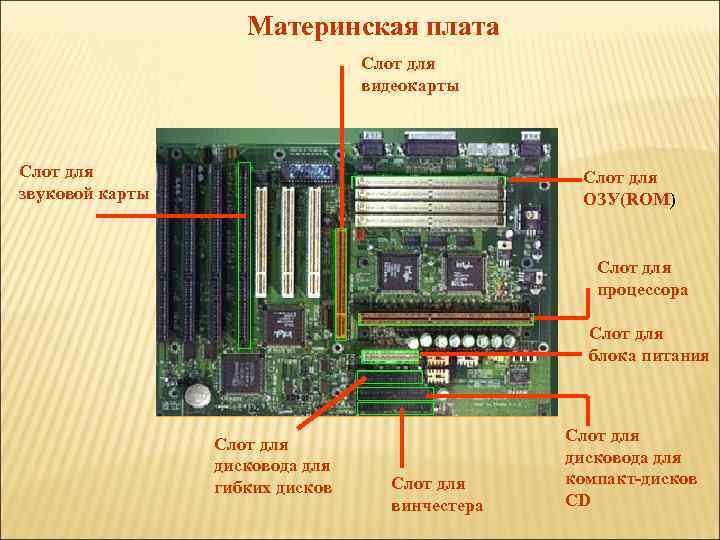 Разъем на материнской плате предназначенный для подключения видеокарты звуковой карты модема