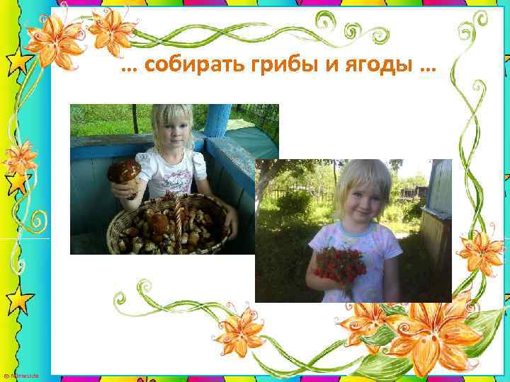 … собирать грибы и ягоды … © Fokina. Lidia 