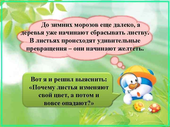  До зимних морозов еще далеко, а деревья уже начинают сбрасывать листву. В листьях