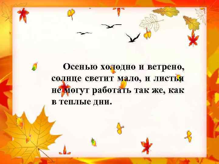  Осенью холодно и ветрено, солнце светит мало, и листья не могут работать так