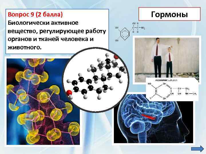Вопрос 9 (2 балла) Биологически активное вещество, регулирующее работу органов и тканей человека и