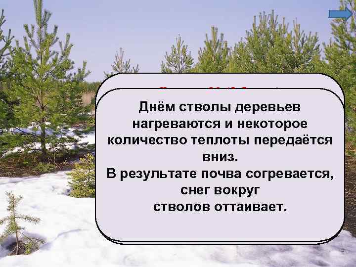 Вопрос 20 (3 балла) Днём стволы деревьев Признаки наступившей весны – нагреваются и некоторое