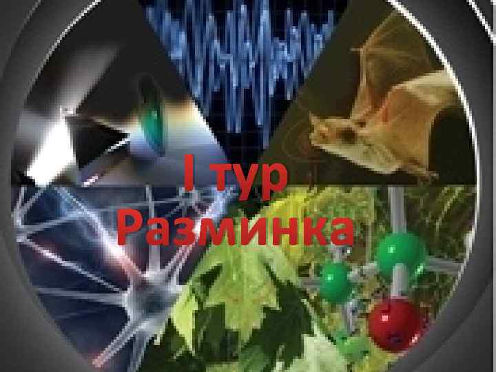 I тур Разминка 