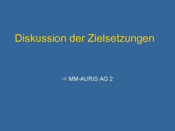 Diskussion der Zielsetzungen MM-AURIS AG 2 