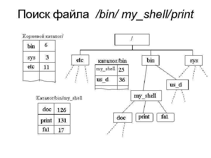 Поиск файла /bin/ my_shell/print 
