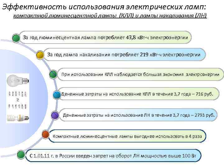 Эффективность использования электрических ламп: компактной люминесцентной лампы (КЛЛ) и лампы накаливания (ЛН) За год
