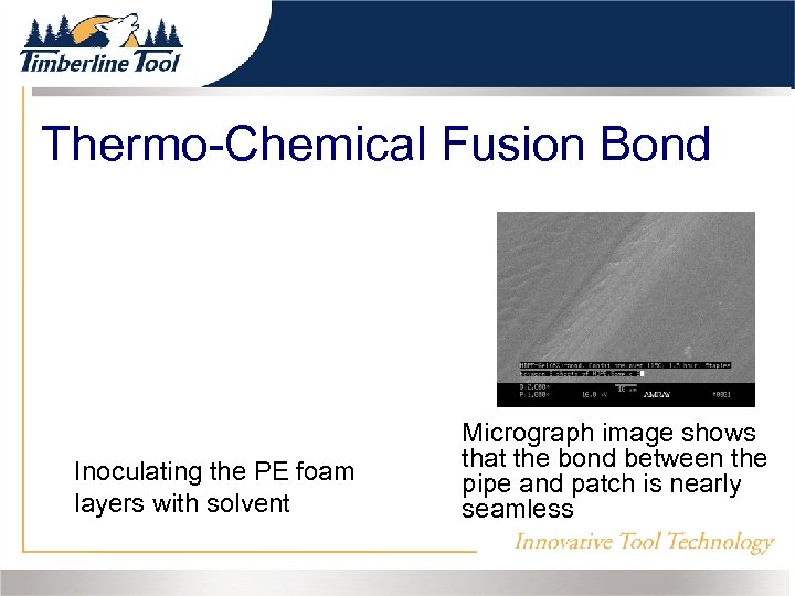 Thermo-Chemical Fusion Bond Inoculating the PE foam layers with solvent Micrograph image shows that