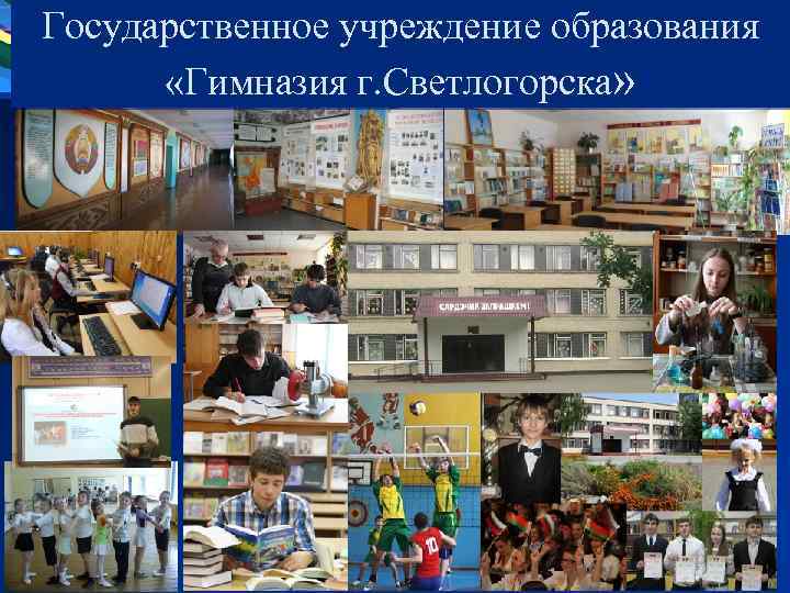 Государственное учреждение образования «Гимназия г. Светлогорска» 