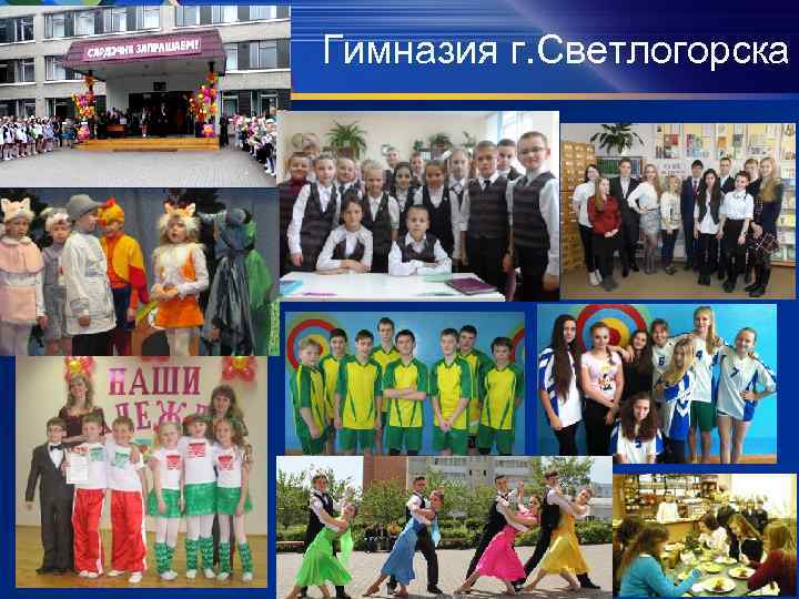 Гимназия г. Светлогорска 