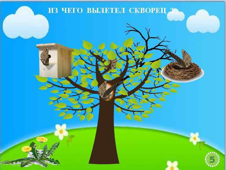 ИЗ ЧЕГО ВЫЛЕТЕЛ СКВОРЕЦ ? 5 