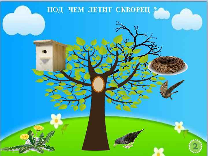 ПОД ЧЕМ ЛЕТИТ СКВОРЕЦ ? 2 