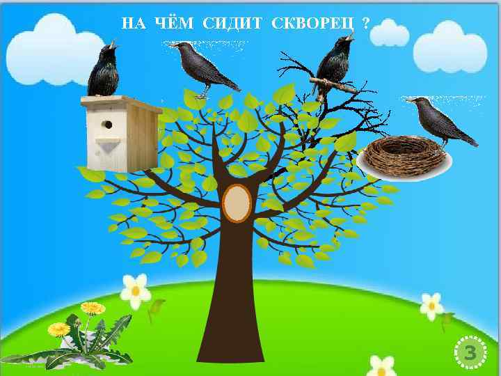 НА ЧЁМ СИДИТ СКВОРЕЦ ? 3 