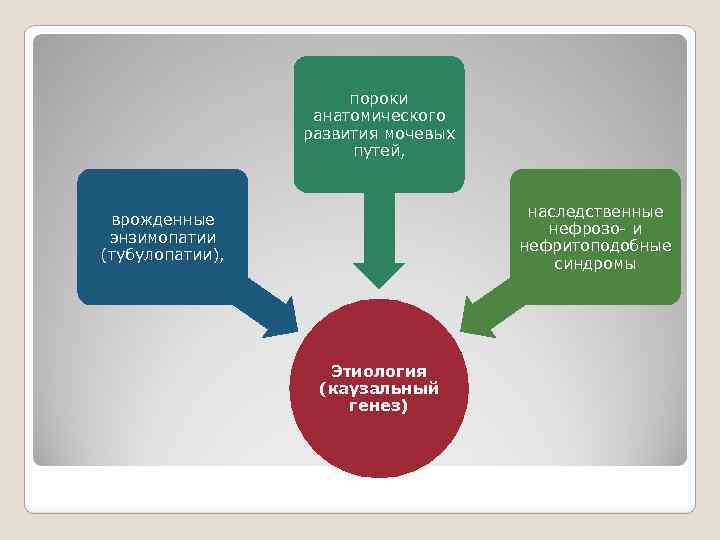 пороки анатомического развития мочевых путей, наследственные нефрозо- и нефритоподобные синдромы врожденные энзимопатии (тубулопатии), Этиология
