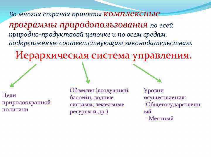 Во многих странах приняты комплексные программы природопользования по всей природно-продуктовой цепочке и по всем