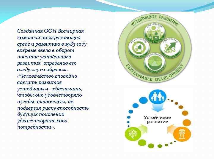 Созданная ООН Всемирная комиссия по окружающей среде и развитию в 1983 году впервые ввела