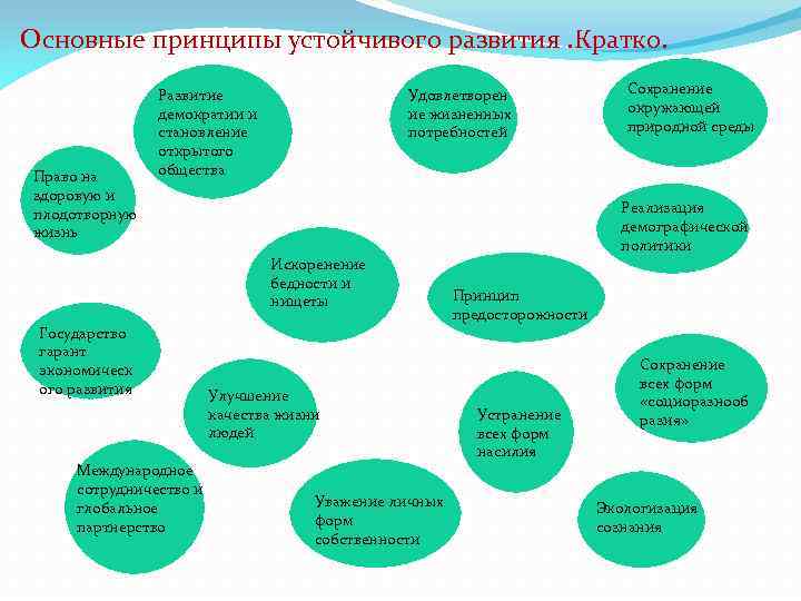 Основные принципы устойчивого развития. Кратко. Право на здоровую и плодотворную жизнь Развитие демократии и