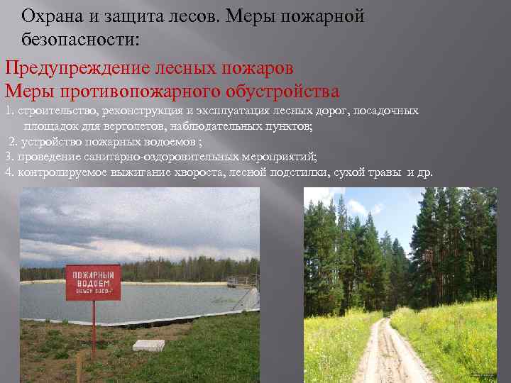 Охрана и защита лесов. Меры пожарной безопасности: Предупреждение лесных пожаров Меры противопожарного обустройства 1.