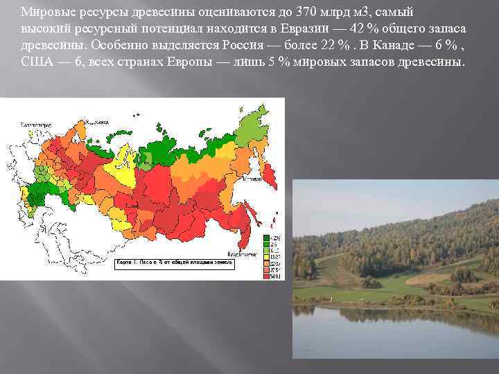 Мировые ресурсы древесины оцениваются до 370 млрд м 3, самый высокий ресурсный потенциал находится