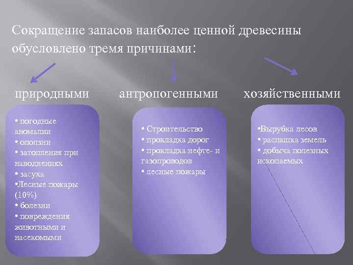 Сокращение запасов наиболее ценной древесины обусловлено тремя причинами: природными • погодные аномалии • оползни