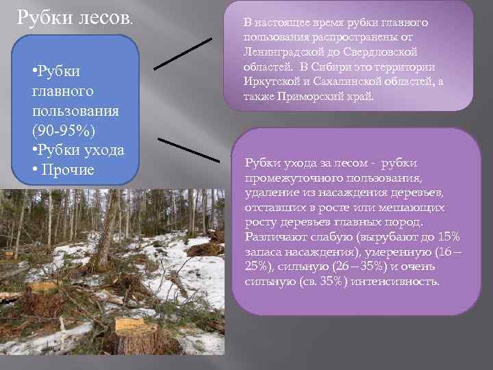 Вырубка лесов пути решения. Рубки главного пользования. Вырубка главного пользования. Рубки главного пользования классифицируют. Выборочные рубки главного пользования.