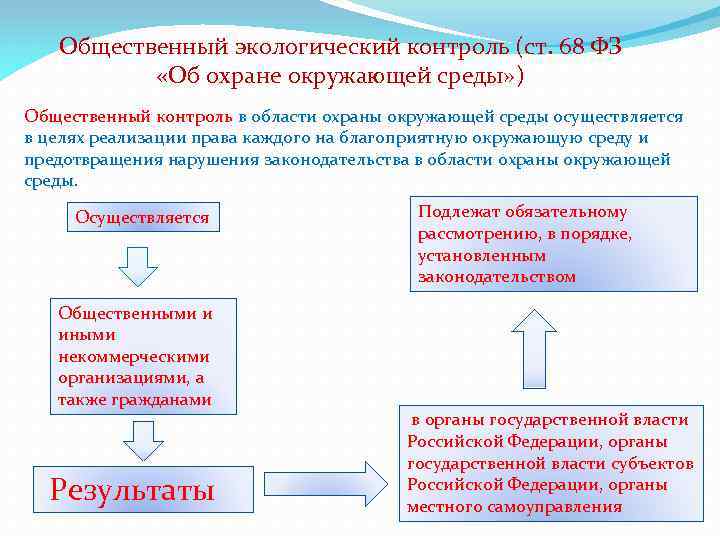 Общественный контроль проводится. Общественный экологический контроль. Виды общественного экологического контроля. Общественный контроль примеры.