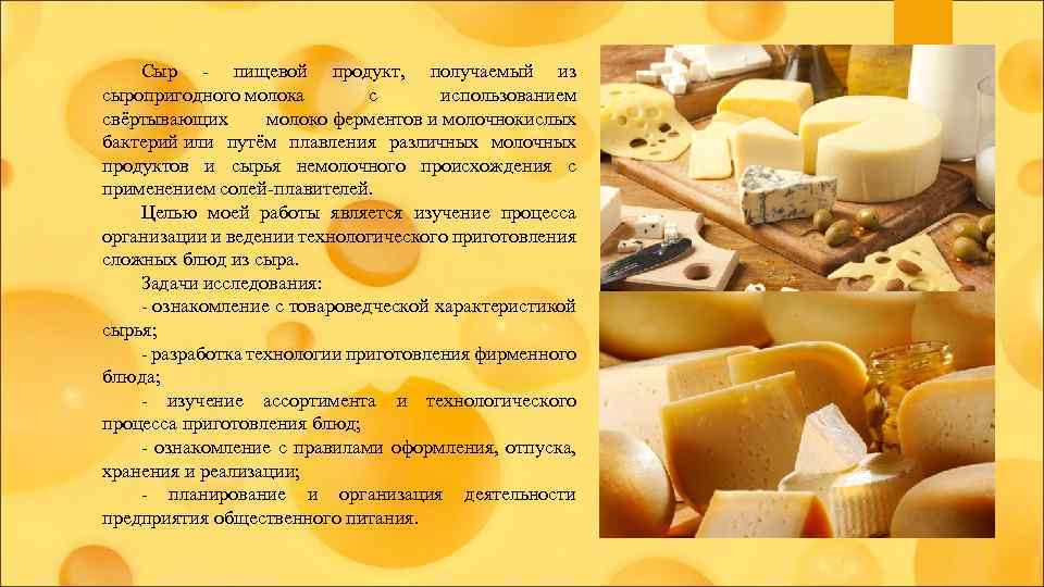 Дипломная работа по теме Организация и ведение технологического процесса приготовления сложных блюд из сыра