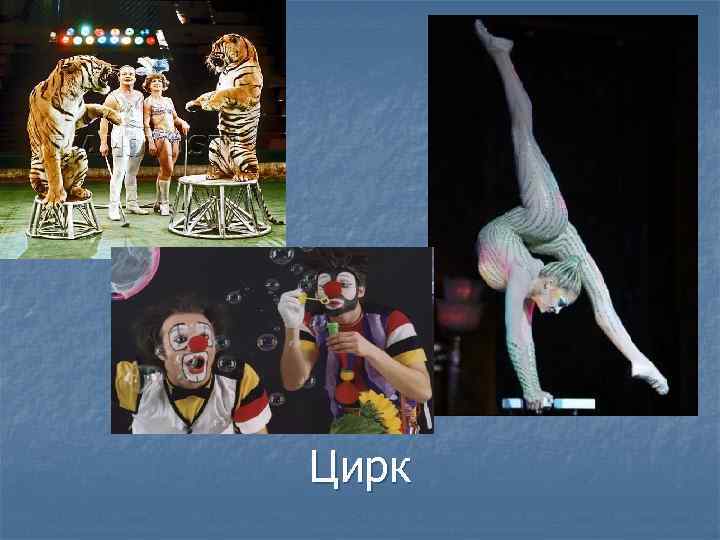 Цирк 