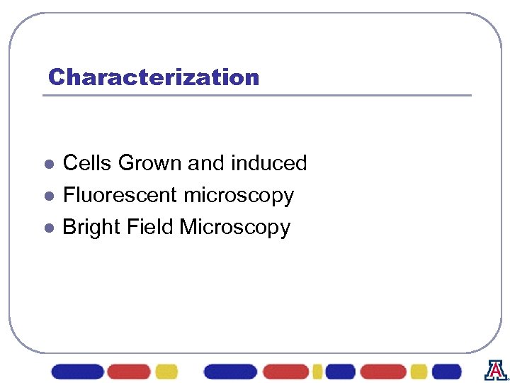 Characterization l l l Cells Grown and induced Fluorescent microscopy Bright Field Microscopy 