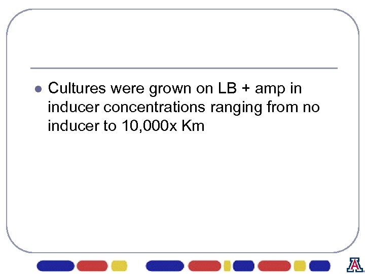 l Cultures were grown on LB + amp in inducer concentrations ranging from no