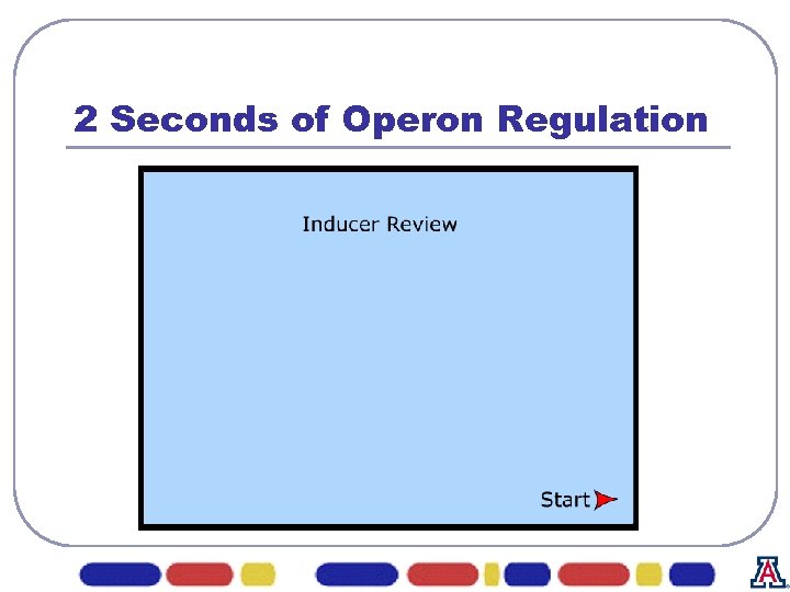 2 Seconds of Operon Regulation 